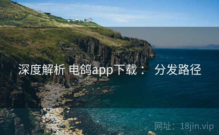 深度解析 电鸽app下载 : 分发路径 第2张 深度解析 电鸽app下载 : 分发路径 第2张
