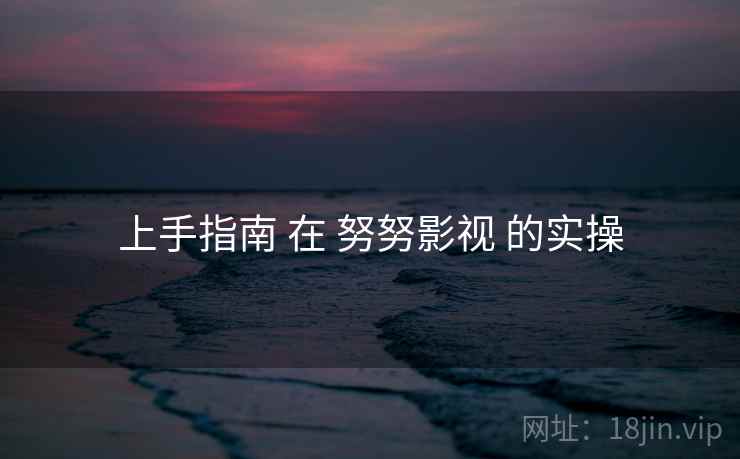 上手指南 在 努努影视 的实操