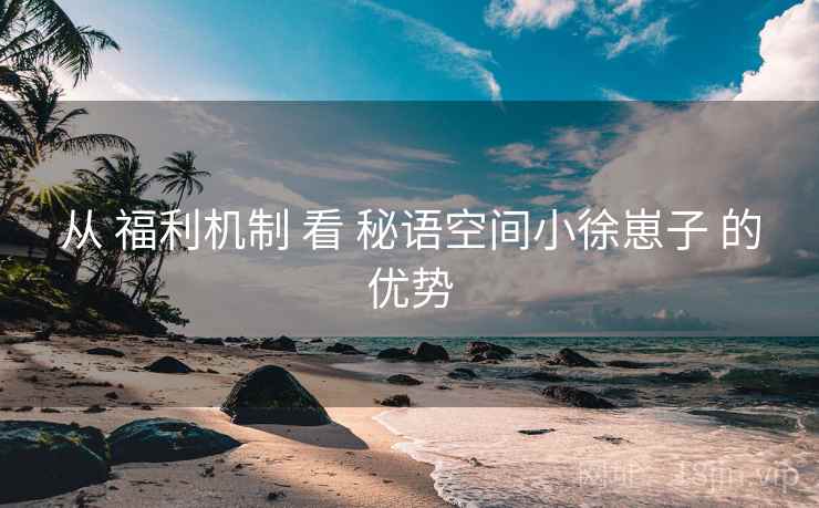 从 福利机制 看 秘语空间小徐崽子 的优势