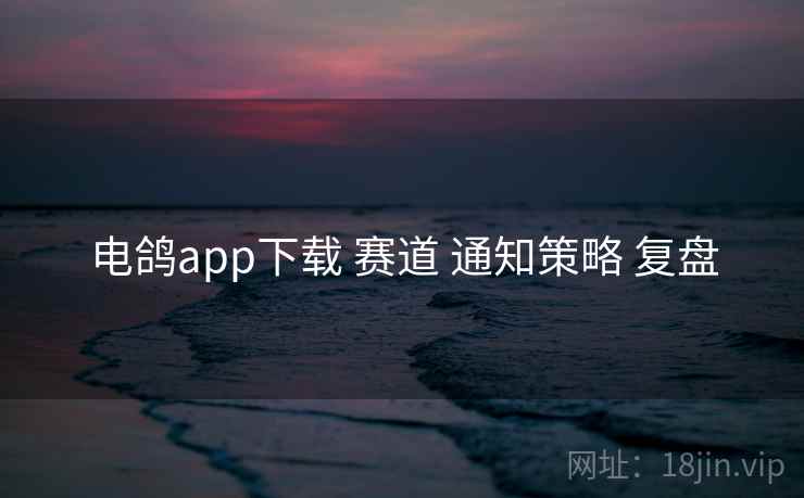 电鸽app下载 赛道 通知策略 复盘