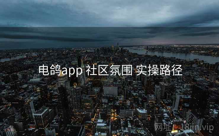 电鸽app 社区氛围 实操路径