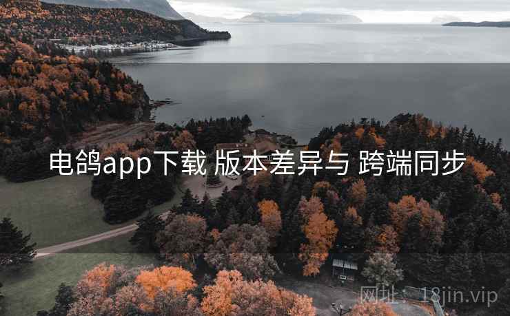 电鸽app下载 版本差异与 跨端同步