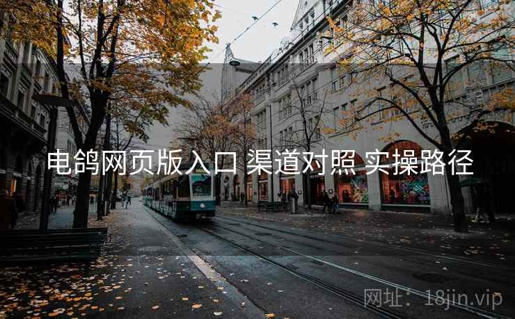 电鸽网页版入口 渠道对照 实操路径