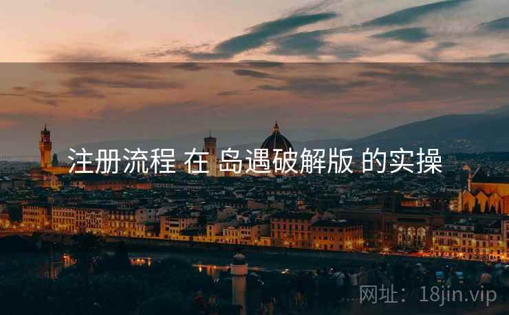 注册流程 在 岛遇破解版 的实操