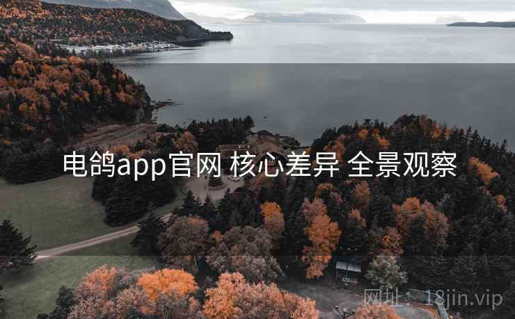 电鸽app官网 核心差异 全景观察